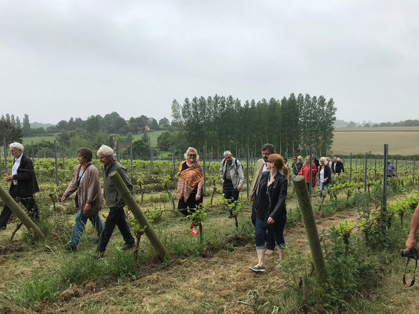 Shotley Vineyard Gift Card