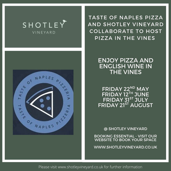 2026 Pizza in the vines