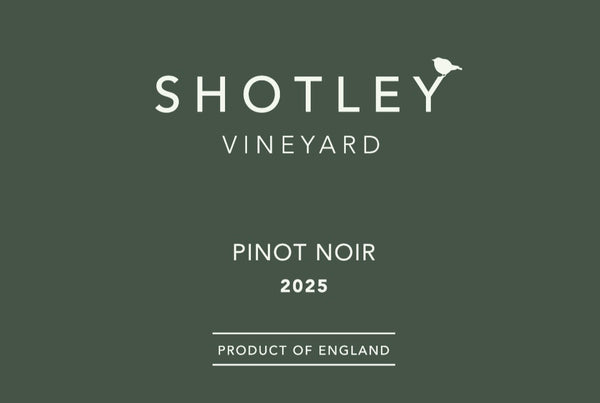 2025 Pinot Noir